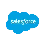 Salesforce partner