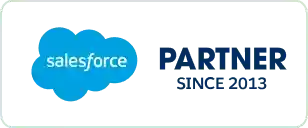 Salesforce partner